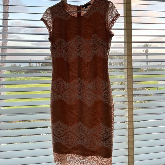 Sharagano lace light pink and white lined lace dress Size4 - Picture 7 of 8